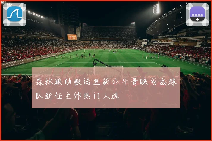 森林狼助教诺里获公牛青睐或成球队新任主帅热门人选